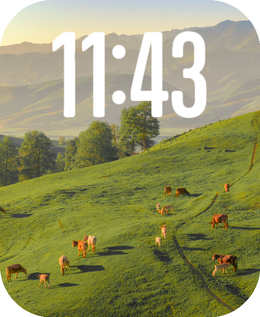 Watch Face